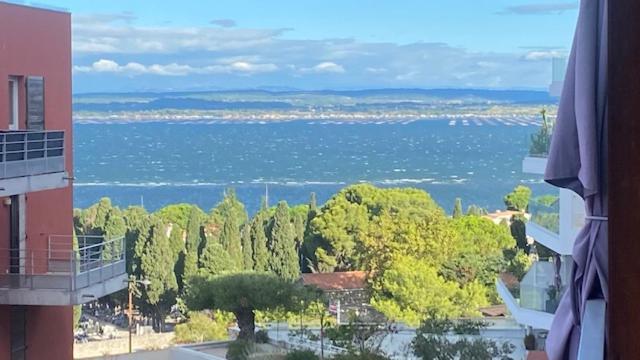Appartement 1,5 Km Plages Bel Calme Piscine Garage